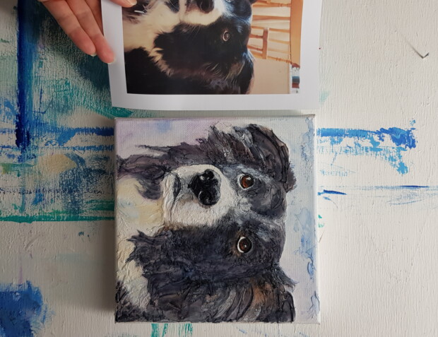 Pet Portrait - Border Collie - Inde by Sunday L Artist