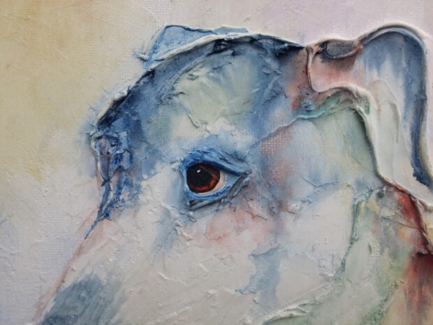 Blue Greyhound by SundayL Artist - eye detail